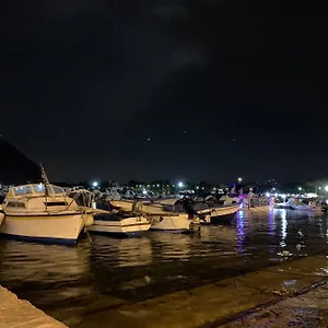 Surfinia's , Palermo Italia